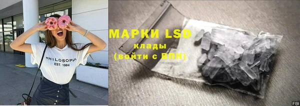 сатива Гусь-Хрустальный
