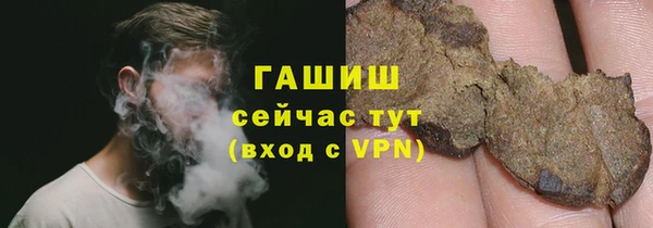 сатива Гусь-Хрустальный
