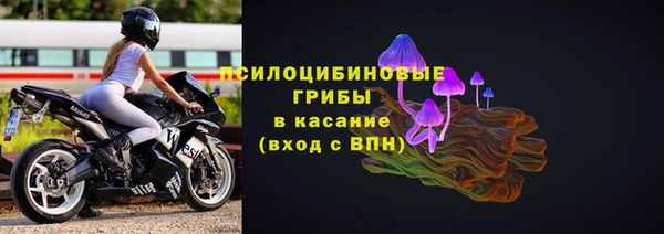 сатива Гусь-Хрустальный