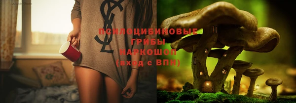 круглые Гусиноозёрск