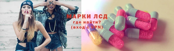 сатива Гусь-Хрустальный