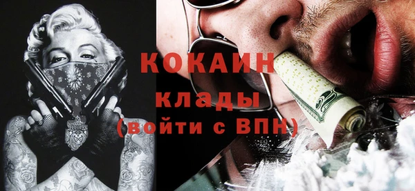 сатива Гусь-Хрустальный