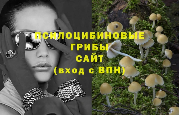 сатива Гусь-Хрустальный