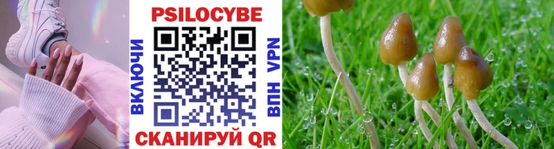 Псилоцибиновые грибы Magic Shrooms  Купить где  Нефтекумск 